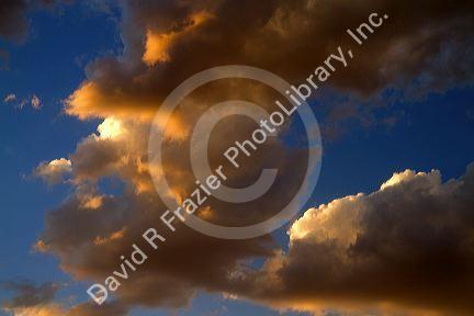 Clouds lit by the evening sun.