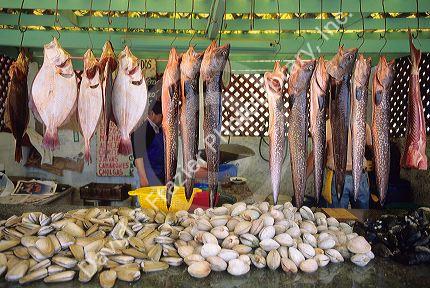 Fish market in concon near Valpraiso, Chile.