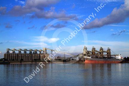 Bulk freighter at a grain shipping terminal on the Mississippi River at the Port of Baton Rouge, Louisiana, USA.