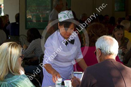 Server at Cafe Du Monde in the French Quarter of New Orleans, Louisiana, USA.