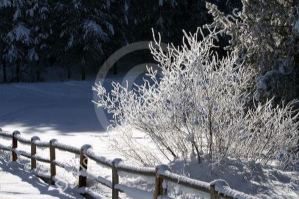 Frost and snow at Round Valley in Valley County, Idaho, USA.