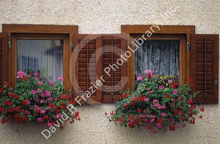 Flower boxes on the windows of a German house.