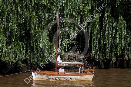 Small sail boat on the Parana Delta at Tigre, Argentina.
