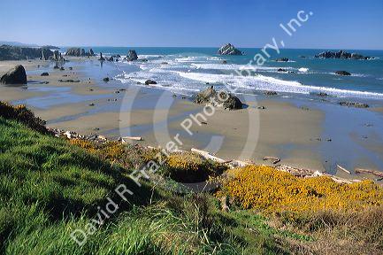 The beach and coastline in Bandon, Oregon.