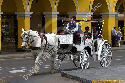 Horse drawn carriage at the Plaza Mayor or Plaza de Armas of Lima, Peru.