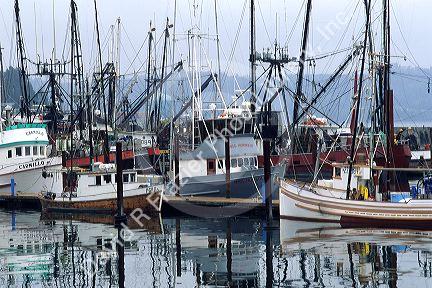 Commercial fishing boats docked at Newport on the Oregon Coast.