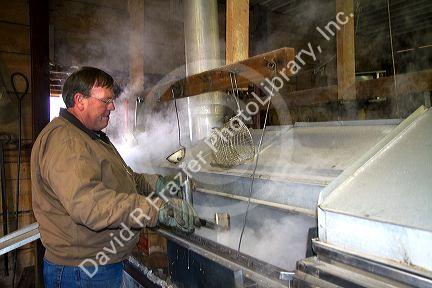 Worker boiling maple sap in a sugar shack at Lake Odessa, Michigan, USA.
