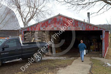 Sugar shack used for processing maple sap in Lake Odessa, Michigan, USA.