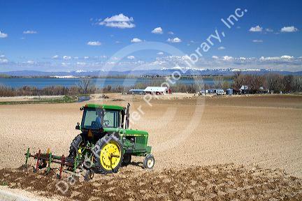 Tractor cutting corrugates into field for irrigation near Lake Lowell in Canyon County, Idaho, USA.