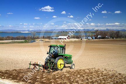 Tractor cutting corrugates into field for irrigation near Lake Lowell in Canyon County, Idaho, USA.