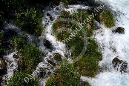 Niagara Springs at Thousand Springs State Park in the Hagerman Valley, Idaho, USA.