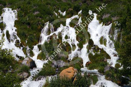 Niagara Springs at Thousand Springs State Park in the Hagerman Valley, Idaho, USA.