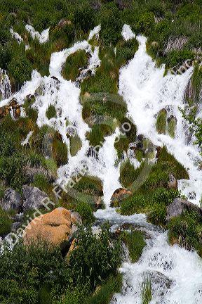 Niagara Springs at Thousand Springs State Park in the Hagerman Valley, Idaho, USA.