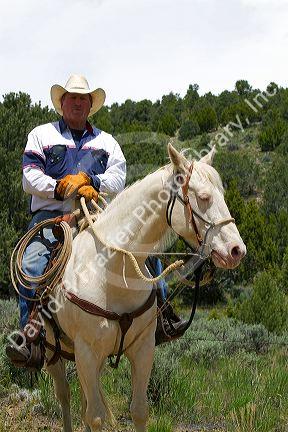 Portrait of a cowboy on a white horse in Cassia County, Idaho, USA.