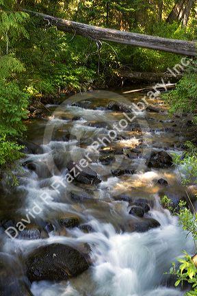 Grave Creek running into the Lochsa River in north central Idaho, USA.