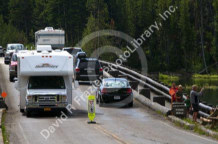 Tourism traffic at Fishing Bridge in Yellowstone National Park, Wyoming, USA.