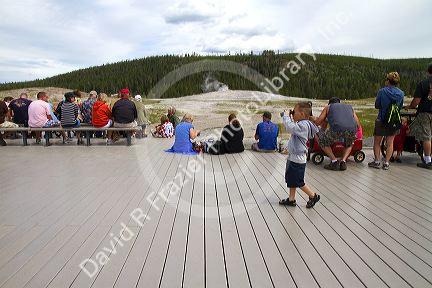 Deck lumber made from recycled plastic at Old Faithful viewing area in Yellowstone National Park, Wyoming, USA.