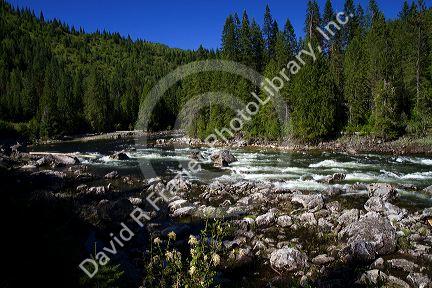 The Lochsa River along US-12 in north central Idaho, USA.