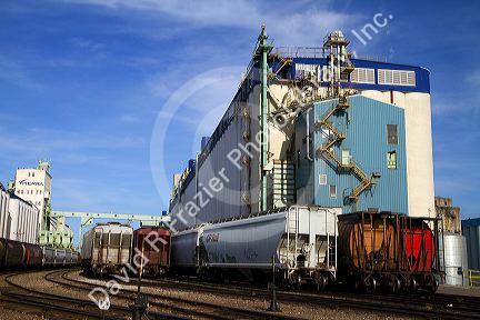 Large grain elevators at Thunder Bay, Ontario, Canada.