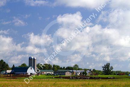 Farmland in central Wisconsin, USA.