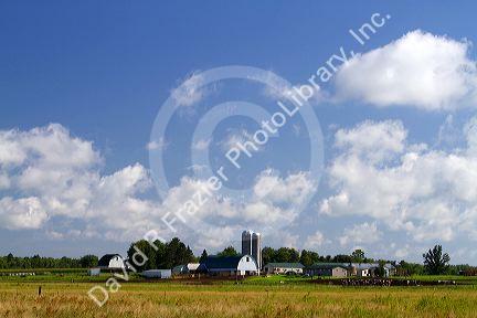 Farmland in central Wisconsin, USA.