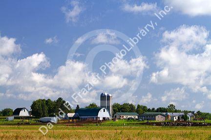 Farmland in central Wisconsin, USA.
