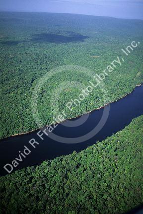 An aerial of the rainforest and river in Venezuela.