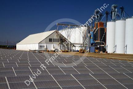 Solar panels create energy used for powering the rice dryer at California Family Foods in Arbuckle, California, USA.