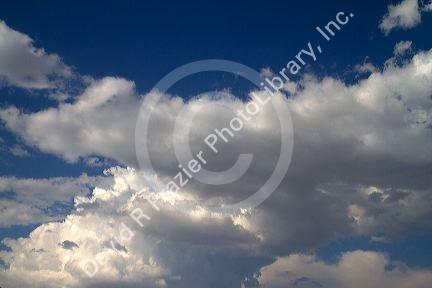 Storm clouds form in the sky.