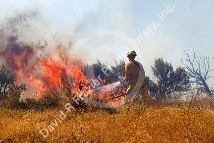 Wildfire south of the city of Boise, Idaho, USA.