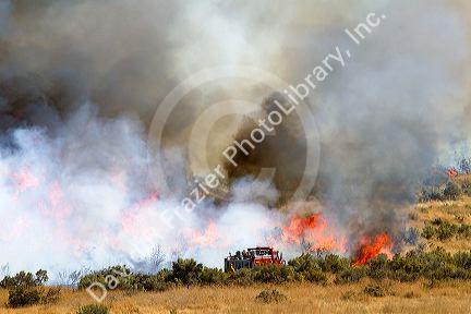 Wildfire south of the city of Boise, Idaho, USA.