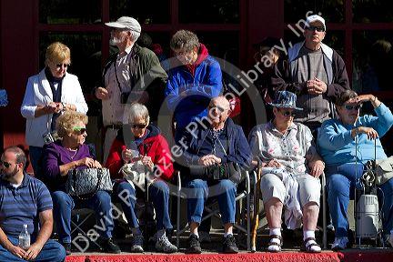 People watching the Trailing of the Sheep Parade on Main Street in Ketchum, Idaho, USA.
