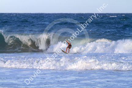 Surfer riding pacific ocean waves off the island coast of Kauai, Hawaii, USA.
