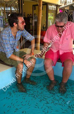 Men enjoy a foot pedicure given by doctor fish on the island of Ko Samui, Thailand.