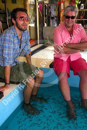 Men enjoy a foot pedicure given by doctor fish on the island of Ko Samui, Thailand.