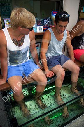 Tourists enjoy a foot pedicure given by doctor fish on the island of Ko Samui, Thailand.