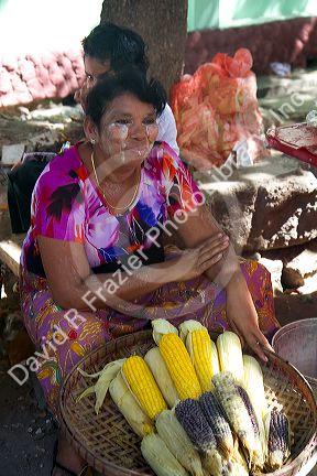 Street food vendor selling corn on the cobb in (Rangoon) Yangon, (Burma) Myanmar.