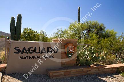 Entrance to the Saguaro National Park, Rincon Mountain District in Southern Arizona.