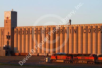 BNSF Railway train in front of the Agri Producers Grain Corp grain elevators at Plainview, Texas, USA.