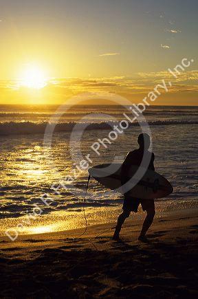 A surfer on the beach at sunset in Hawaii.