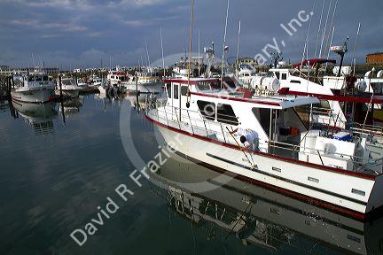 Fishing boats at the Westport Marina located in Westport, Washington, USA.