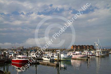 Fishing boats at the Westport Marina located in Westport, Washington, USA.