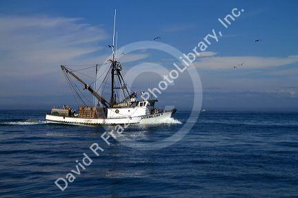 Salmon fishing trawler in the Pacific Ocean off the coast of Westport, Washington, USA.