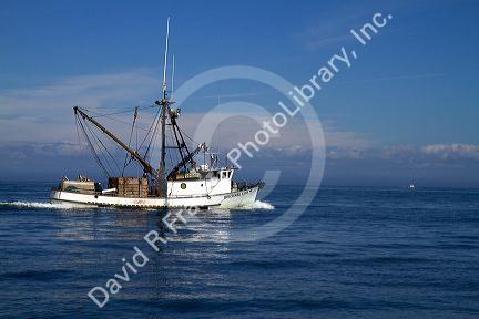 Salmon fishing trawler in the Pacific Ocean off the coast of Westport, Washington, USA.