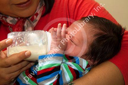 Hispanic mother feeding her infant son a bottle in Boise, Idaho, USA. MR