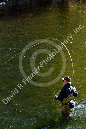 Angler fly fishing on the South Fork of the Boise River in Elmore County, Idaho, USA.