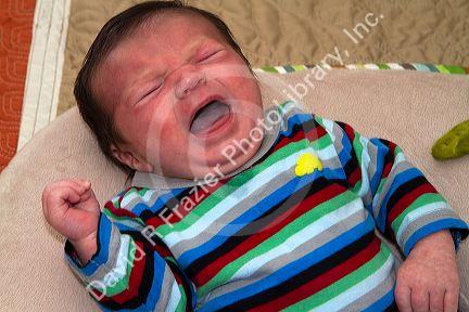 Crying infant boy in Boise, Idaho, USA. MR