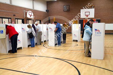 People vote in cardboard voting booths at a polling station in Boise, Idaho, USA.