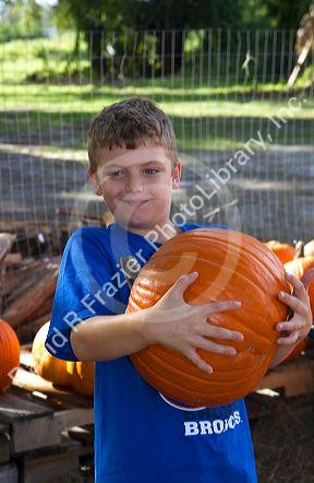 Eight year old boy choosing a pumpkin for halloween near Tampa, Florida, USA.