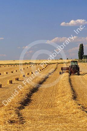 Baling straw near Kimberly, Idaho.